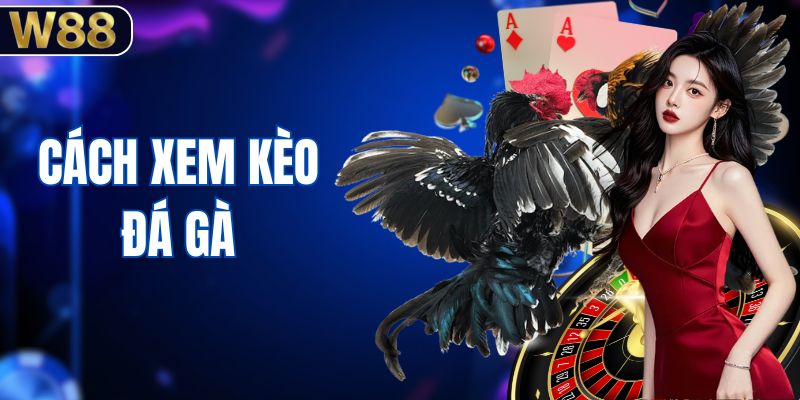 Cách Xem Kèo Đá Gà - Phương Pháp Đọc Tỷ Lệ Chuẩn Nhất